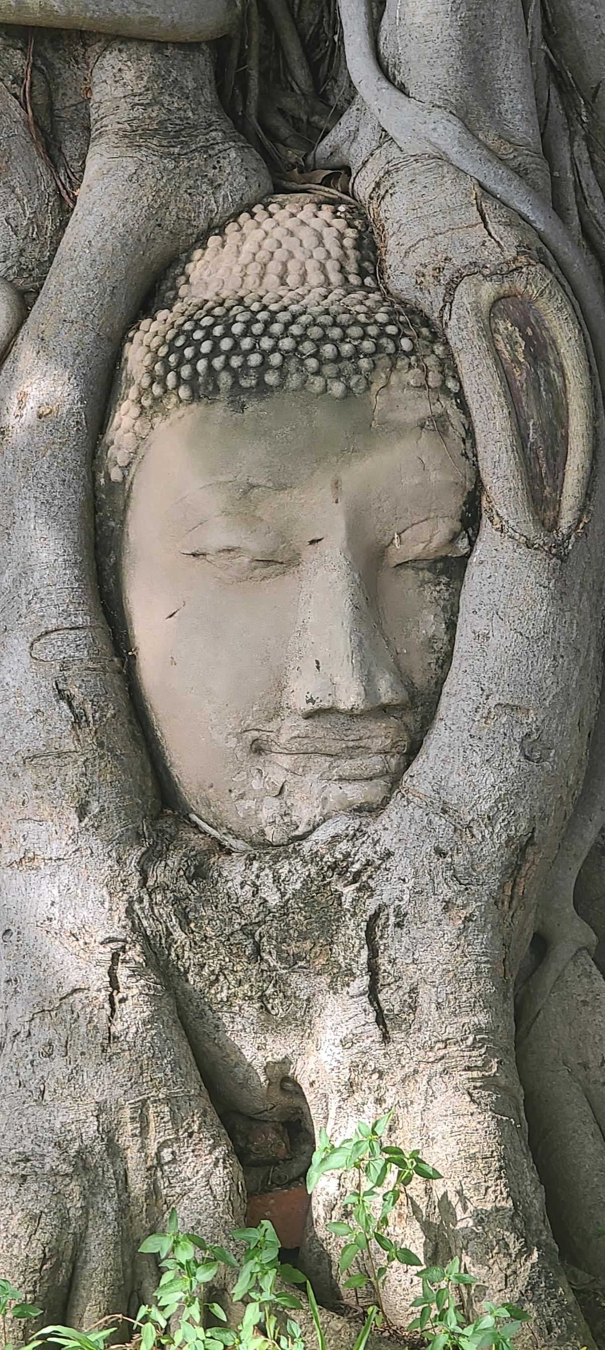 Wat Mahathat